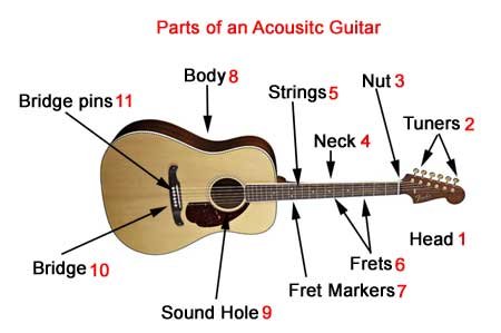 Beginners Class Guitar: Parts of the Guitar and How to Hold the Guitrar